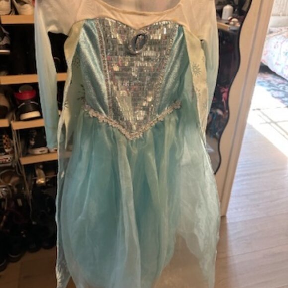 Frozen Elsa Costume - Picture 2 of 6